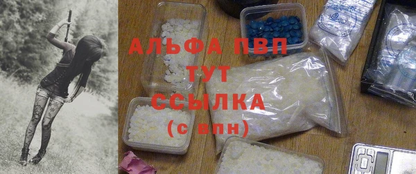 спайс Магас