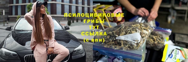 спайс Магас